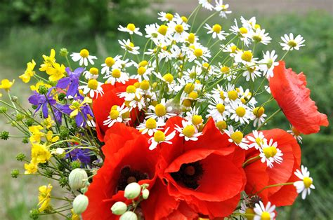 Fête des mères : le 31 Mai